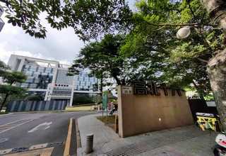 浦东新区写字楼绿植租赁公司