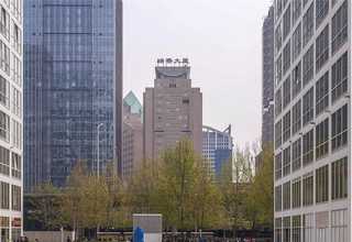 普洱茶老班章357克供应