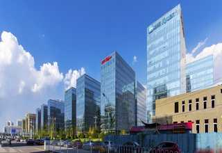 安徽品质斫琴怎么样